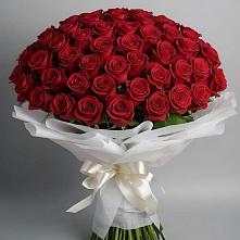 Букет 101 Красная роза Блэк Мэджик в Мурино