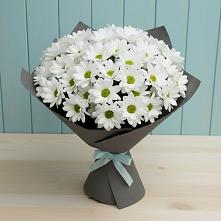 Букет цветов из:  Хризантемы #REPLACE_PRED# Мурино