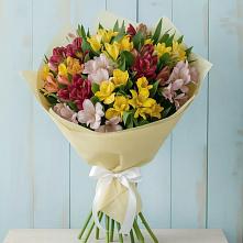 Букет цветов из:  Альстромерии #REPLACE_PRED# Мурино