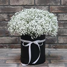 Цветочная композиция из Гипсофила в шляпной коробке в Мурино