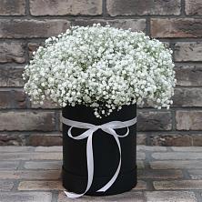 Цветочная композиция из Гипсофила в шляпной коробке в Мурино
